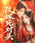 改嫁死對頭一夜懷崽，將軍悔瘋了