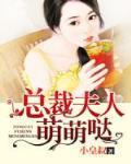 總裁夫人萌萌噠
